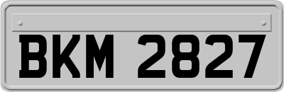BKM2827