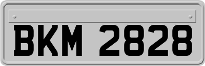 BKM2828