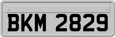 BKM2829