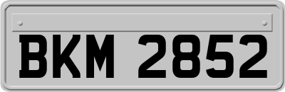 BKM2852