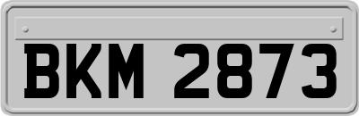 BKM2873