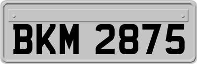 BKM2875