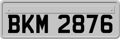 BKM2876