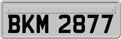 BKM2877