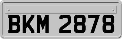 BKM2878