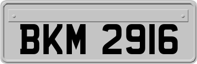 BKM2916