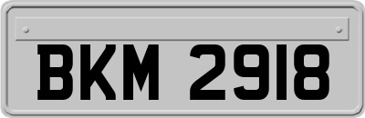 BKM2918