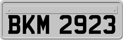 BKM2923