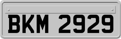 BKM2929