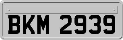BKM2939