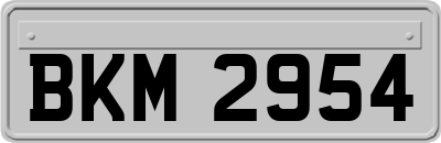 BKM2954
