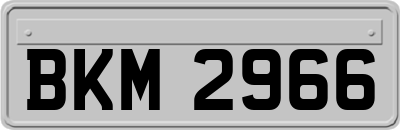 BKM2966