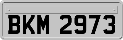 BKM2973