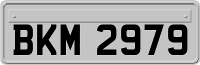 BKM2979