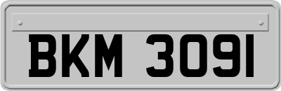 BKM3091