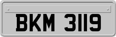 BKM3119
