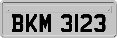 BKM3123