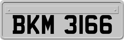 BKM3166