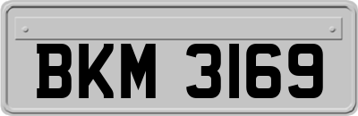 BKM3169