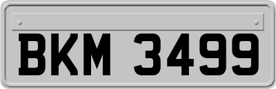 BKM3499