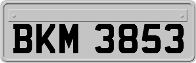 BKM3853