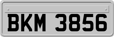BKM3856