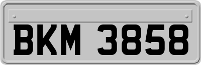 BKM3858