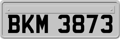 BKM3873