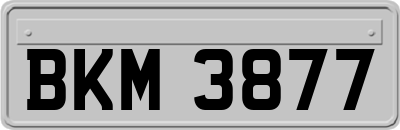 BKM3877