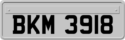 BKM3918