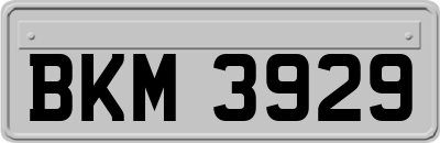 BKM3929