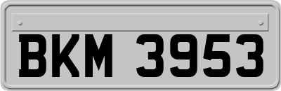 BKM3953