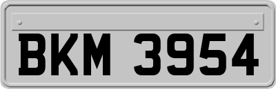 BKM3954