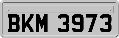 BKM3973