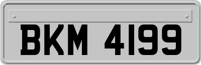 BKM4199