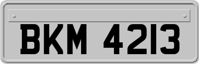 BKM4213