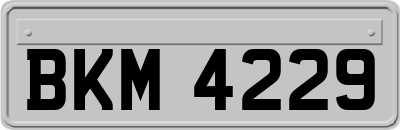 BKM4229