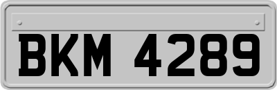 BKM4289
