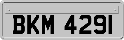 BKM4291