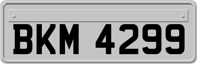 BKM4299