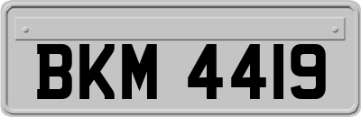 BKM4419