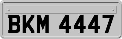 BKM4447