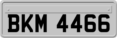 BKM4466