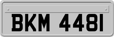 BKM4481