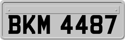 BKM4487