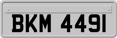 BKM4491