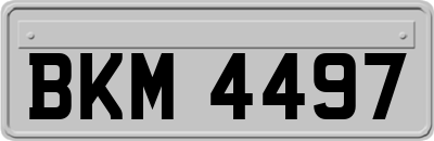 BKM4497