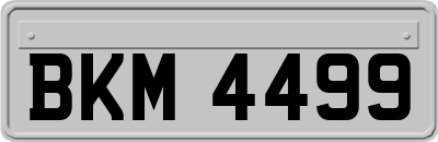 BKM4499
