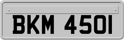 BKM4501