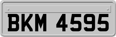 BKM4595